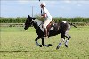 UKPA  NC Sat_1271